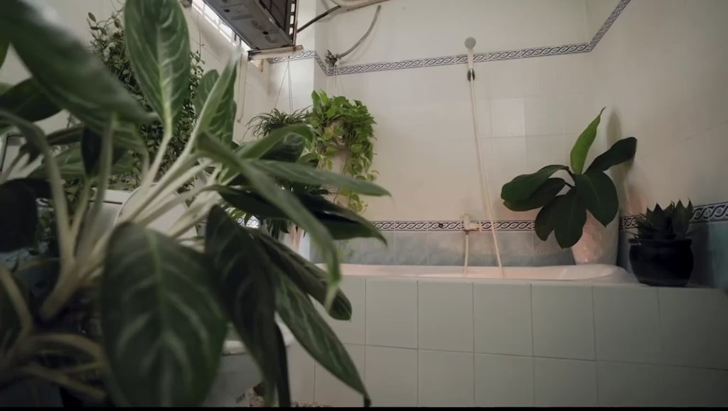 Bouton Bidet Japonais WC avec Jet d’Eau Réglable